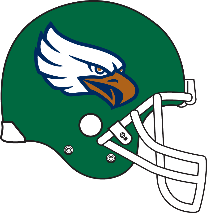 North Texas Mean Green 1998-2000 Helmet diy DTF decal sticker